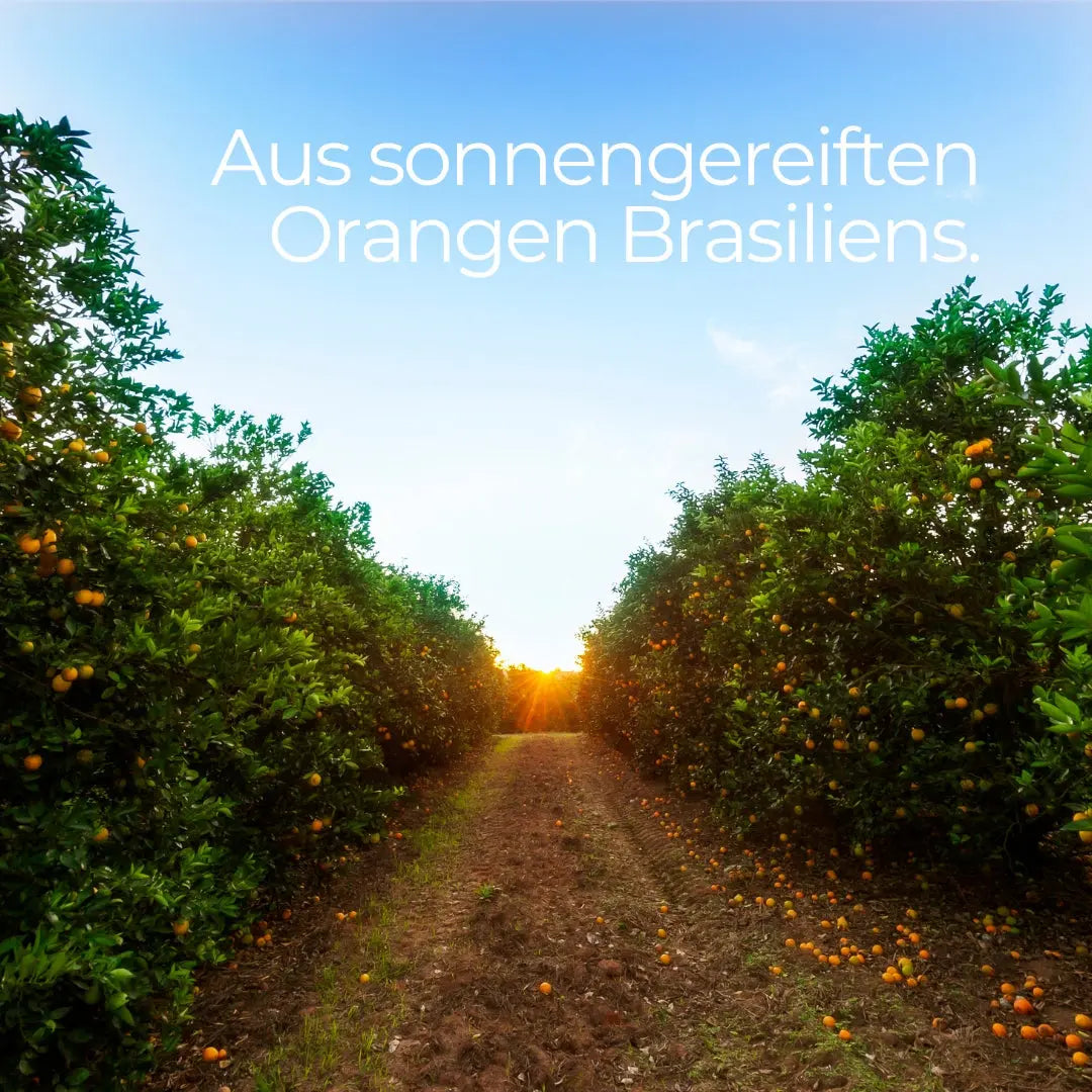 Ätherisches Öl Orange - 100ml - Wellow Sauna