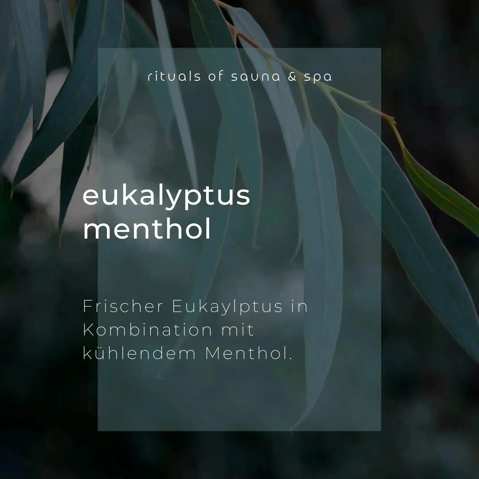 Sauna-Aufguss Eis-Limone 100ml - Wellow Sauna