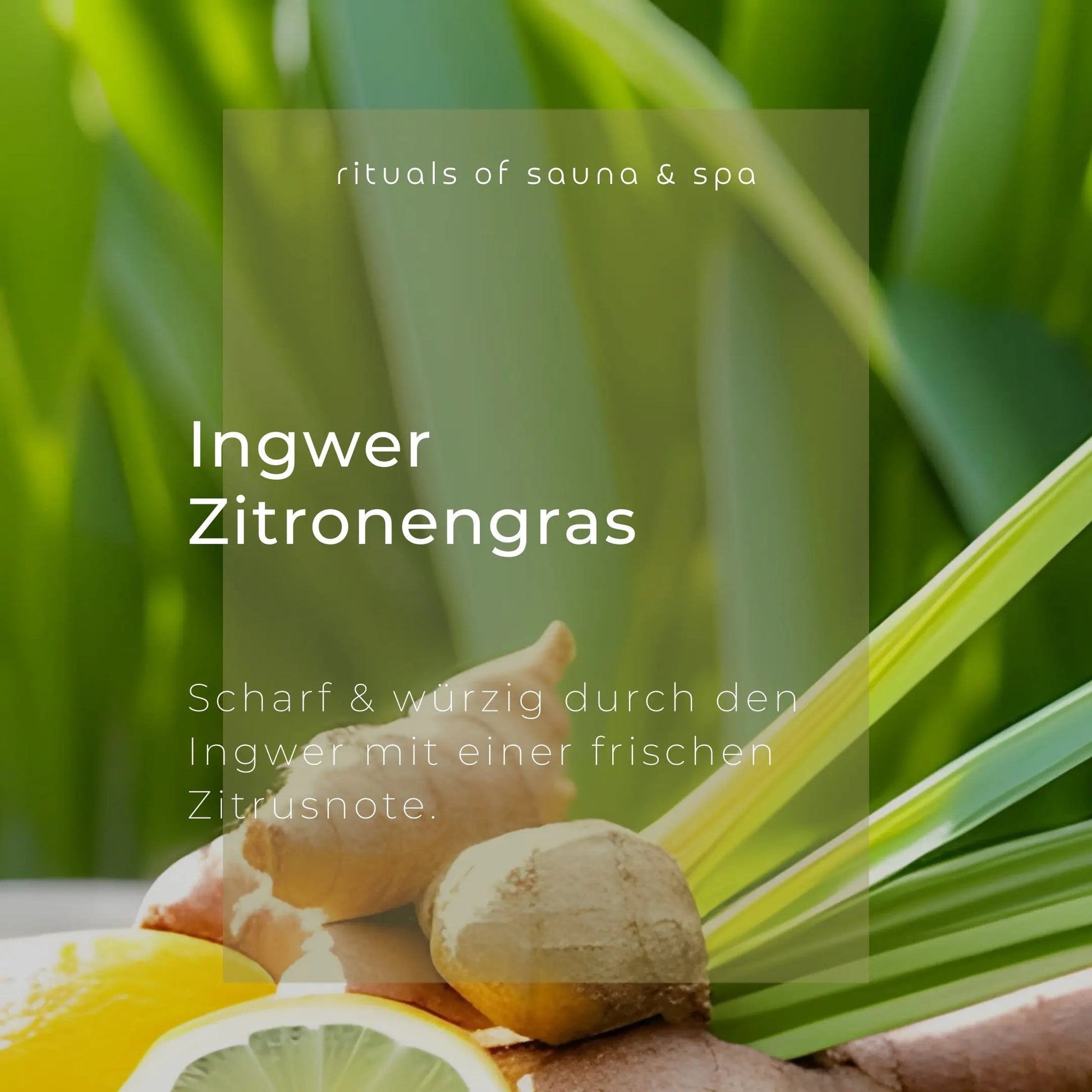Sauna-Aufguss Ingwer-Lemongras 100ml - Wellow Sauna