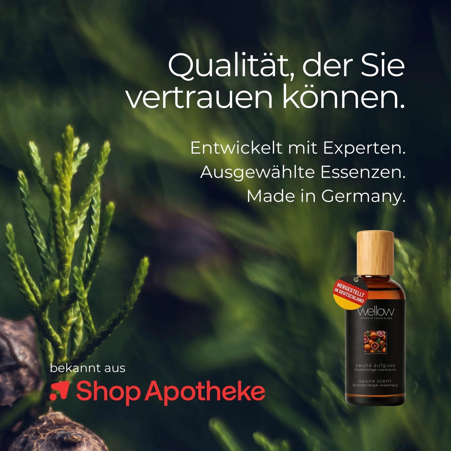 Sauna-Aufguss Rhabarber-Vanille 100ml - Wellow Sauna