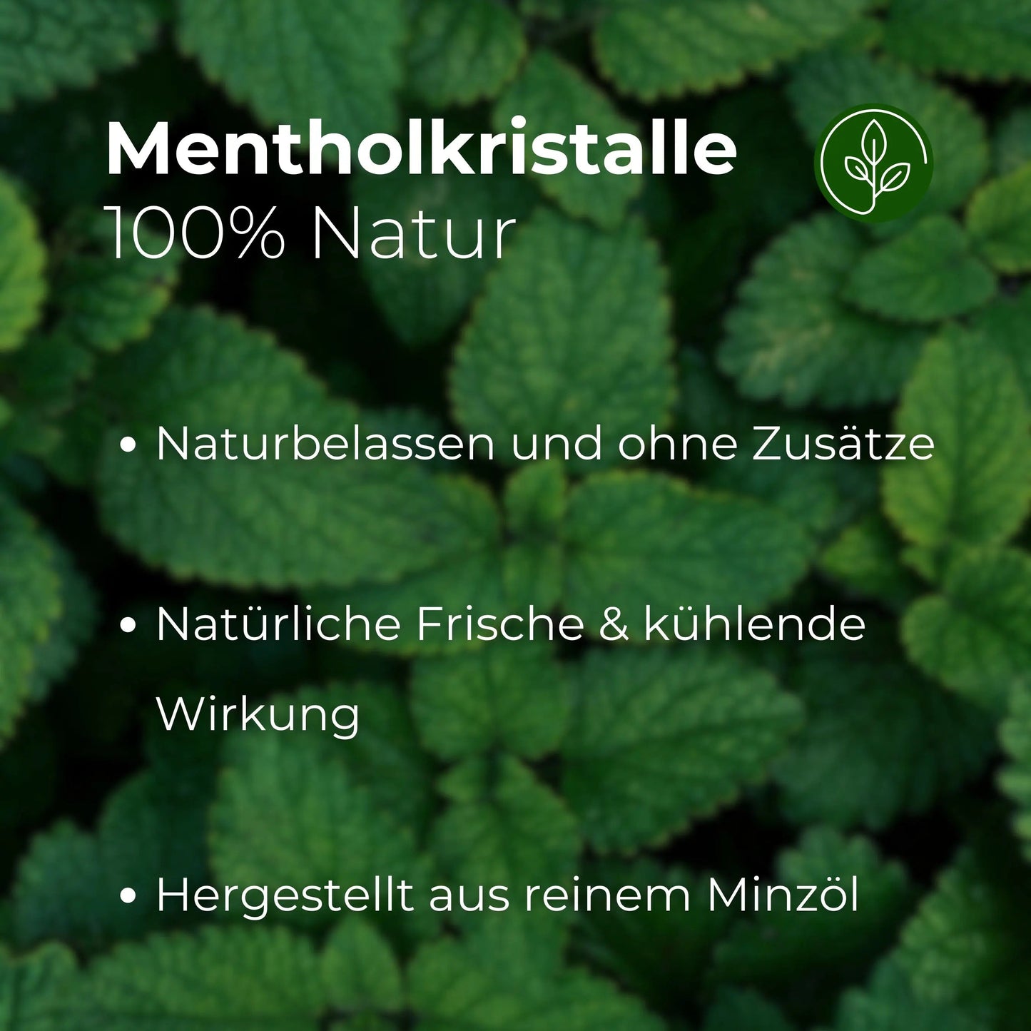 Sauna Mentholkristalle 100g - Wellow Sauna
